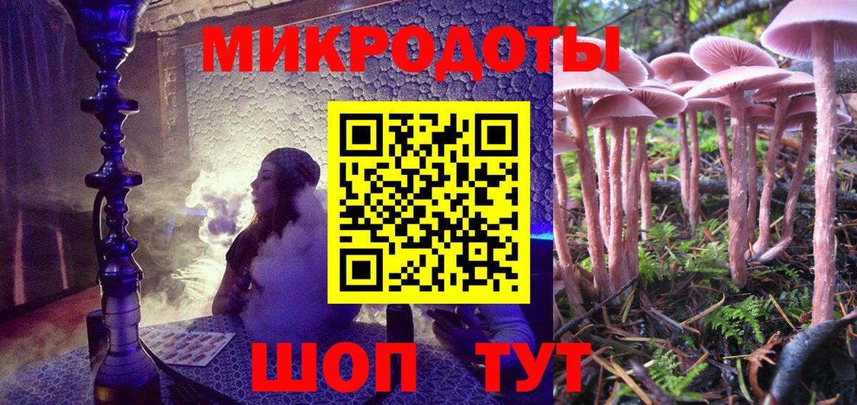 Татарск  Псилоцибиновые грибы мицелий  закладки  Вход с VPN  Псилоцибиновые грибы Psilocybine cubensis 